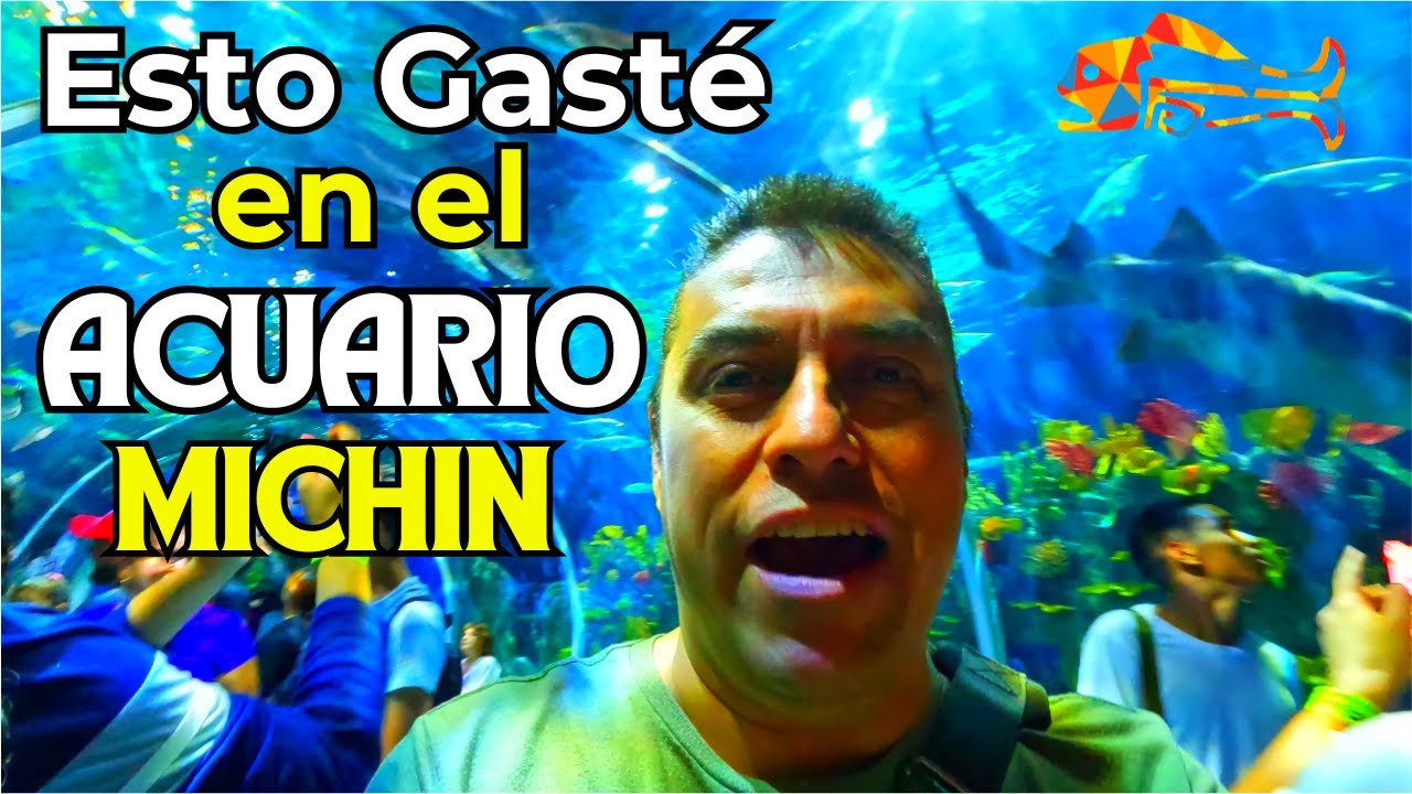 Esto Gasté en el ACUARIO MICHIN | Precios 2025 | Andrei Mapa