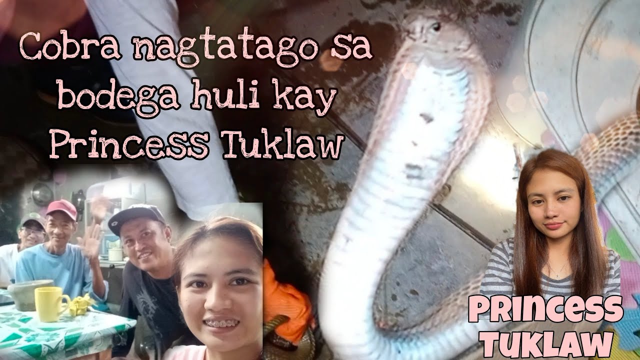COBRA NAGTATAGO SA BODEGA HULI KAY Princess Tuklaw I ROD HARING TUKLAW I SNIPER TUKLAW