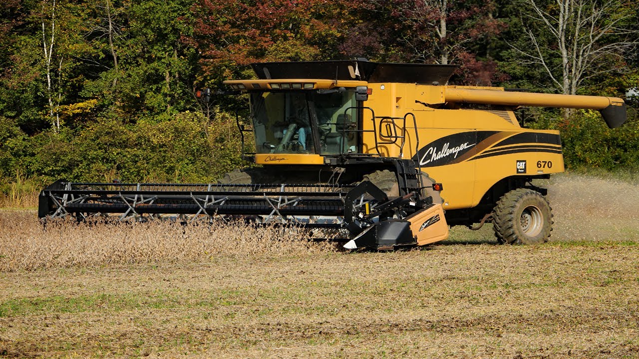 Soybean Harvest 2021