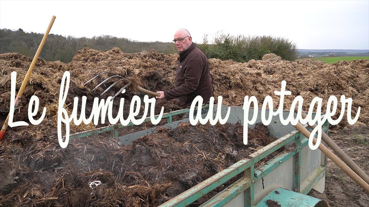 Le fumier et ses 3 fertilités