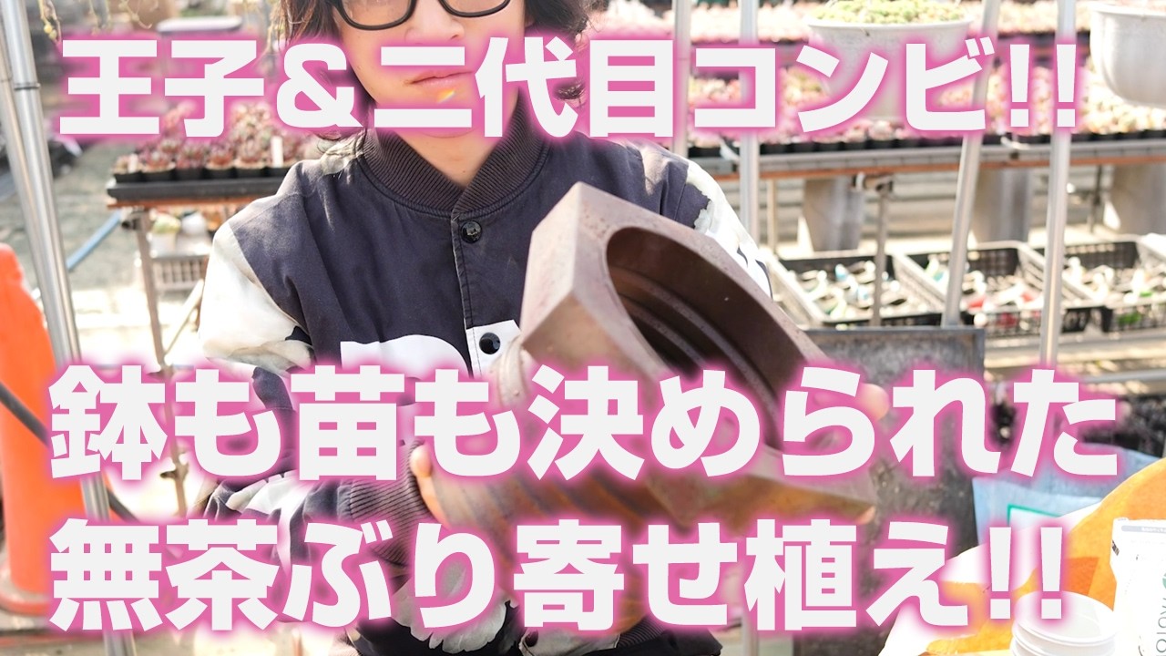 【多肉植物】鉢も苗も決められた無茶ぶり寄せ植え!!王子＆二代目コンビ!!【succulent】トロピカルガーデン