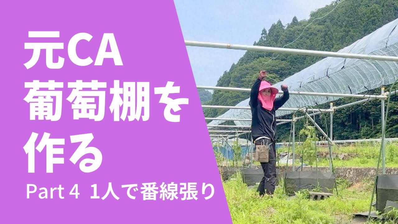 元CA葡萄棚を作る　Part4 番線張り編
