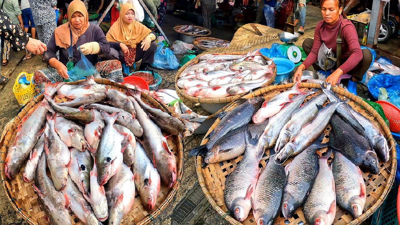 Cambodia Fish Market, Daily Lifestyle March 10, 2026 Food Market, Fresh Food Kinds Market