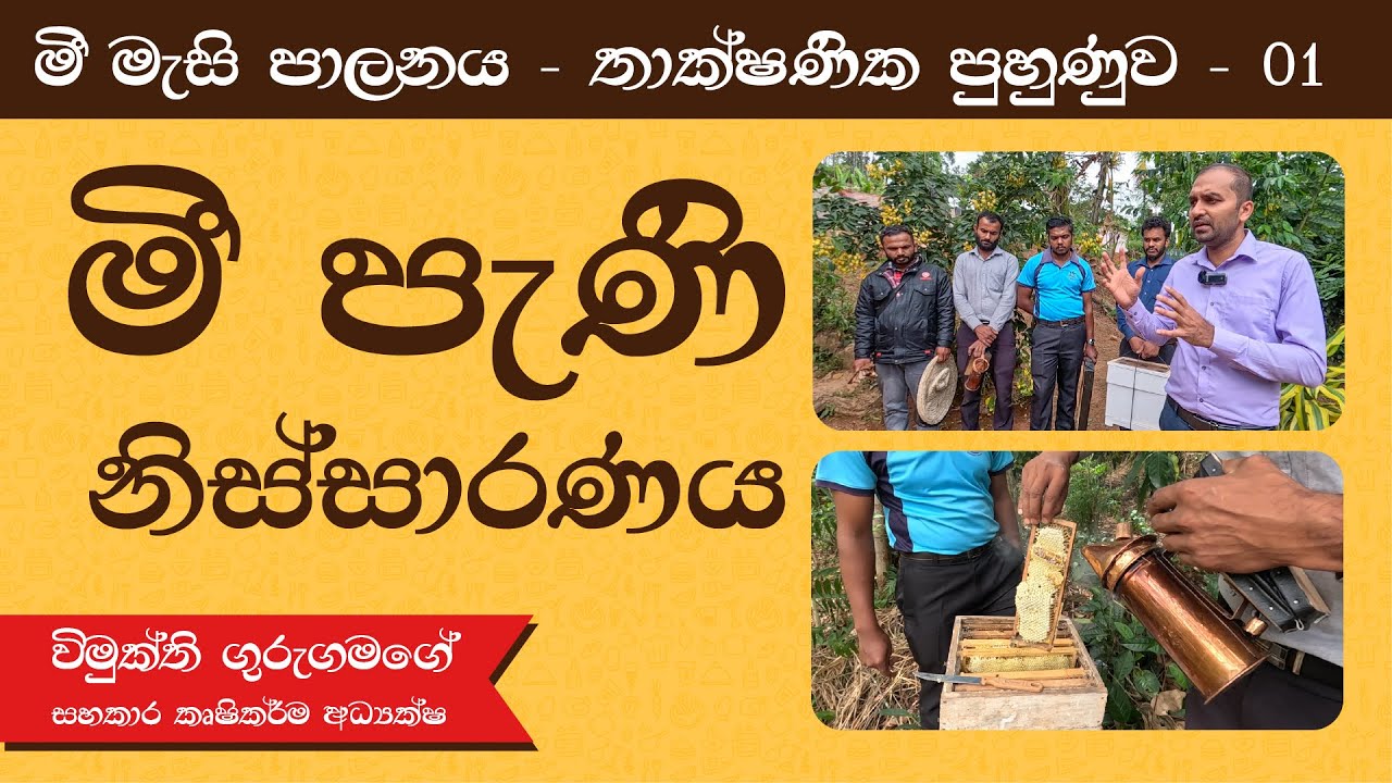 මී මැසි පාලනය තාක්ෂණික පුහුණුව - 01 - මී පැණි නිස්සාරණය / Bee Keeping -  Honey Extraction