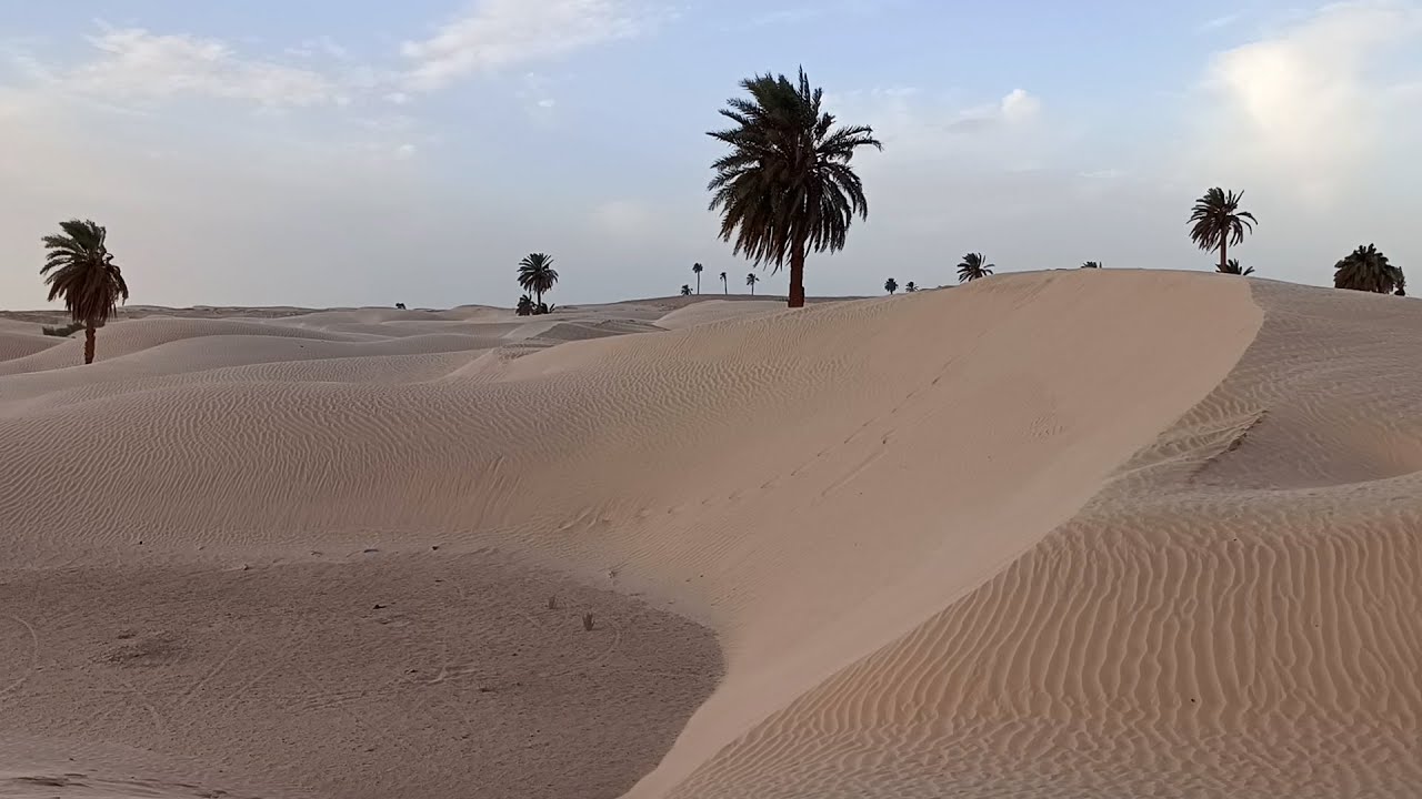 Viaggio in Tunisia   Il grande sud
