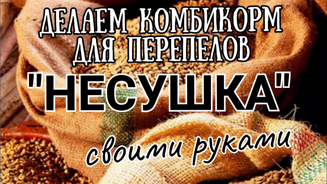 Корм для перепелов своими руками Состав комбикорма для несушки