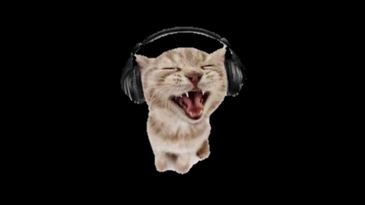 o-zone - dragostea din tei (english) sped up