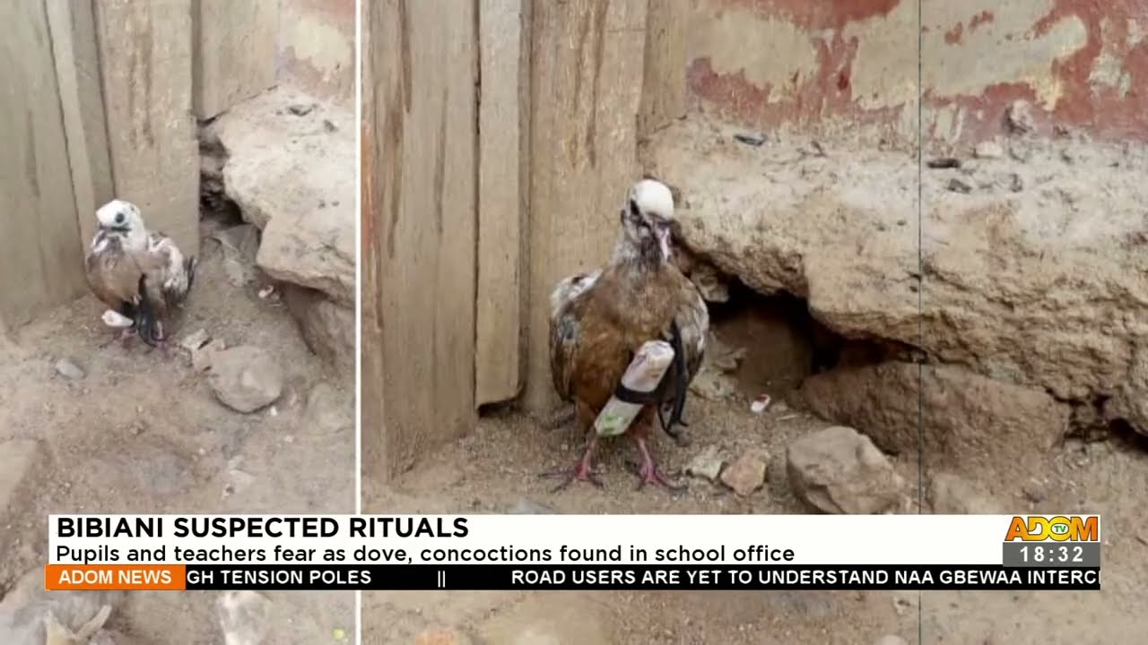 Bibiani: Pupils and teachers fear as dove, concoctions found in school office – Adom TV (31-3-22)