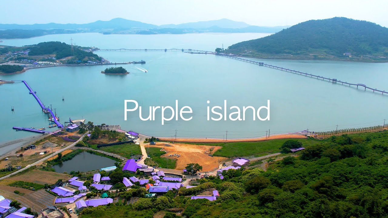 [Hidden Charms of Korea: Sinan] Haven for all things purple / 신안군 퍼플섬