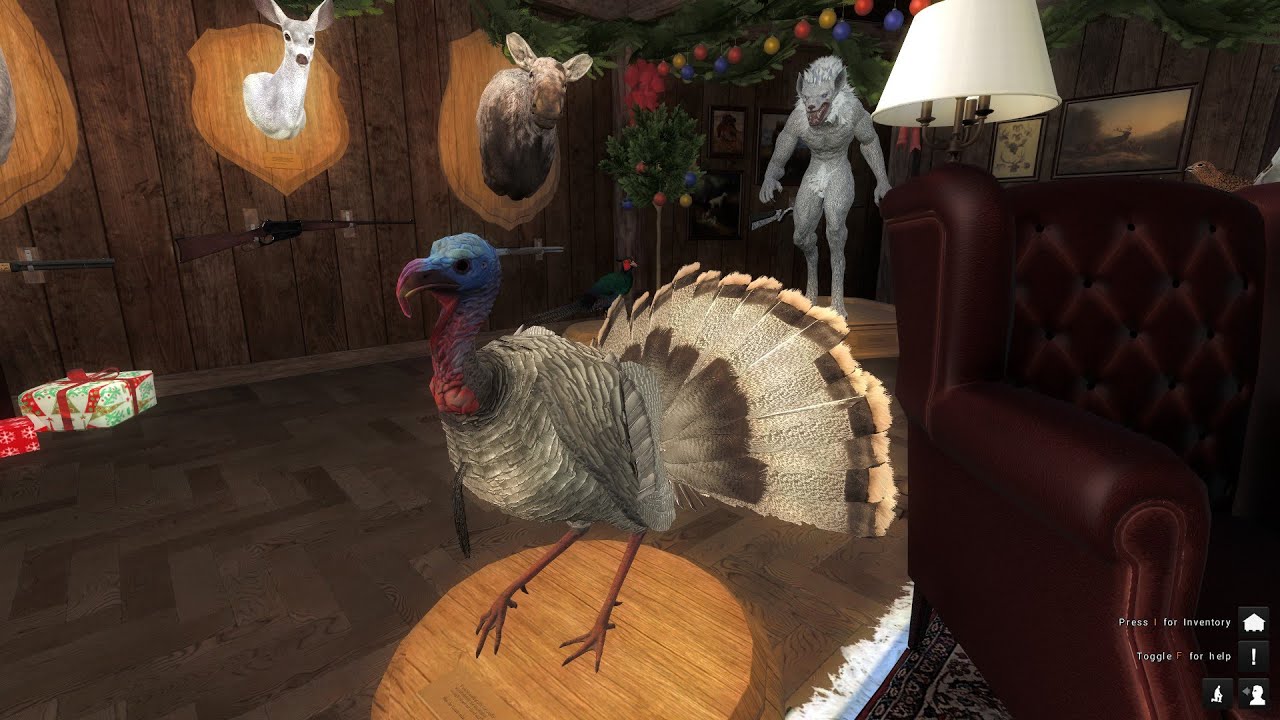 The Hunter Classic 2020 First hunt - New Turkey - Rare Grey -