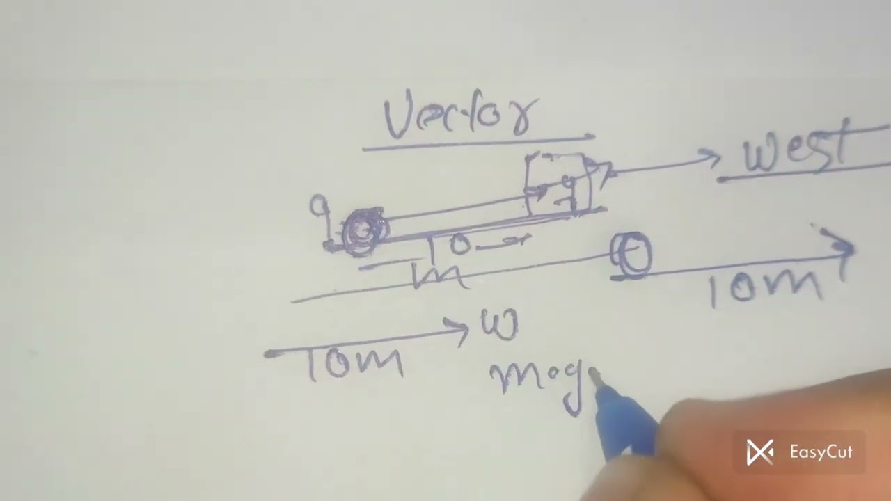 Class 11 Physics | Vector vs Scalar Full Explanation 🔥