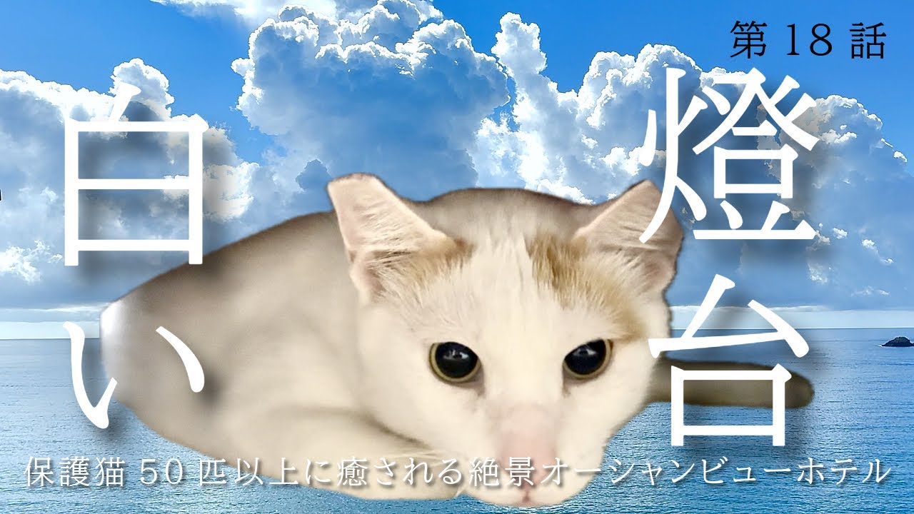 【ホテル白い燈台】保護猫達と優しい方達に癒されました後編/徳島県/日和佐/惣菜屋しのき/クラッシックバーガーズ/竹内製菓棒ういろ/三角パン/おばちゃんひとり旅18話