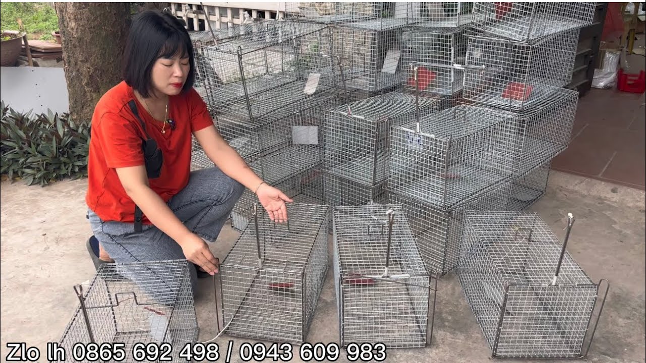 Lồng bẫy mèo,cầy,chồn,chuột,sóc,lồng khung sắt,thép hàn cực chắc chắn,xưởng làm giá rẻ,miễn ship.