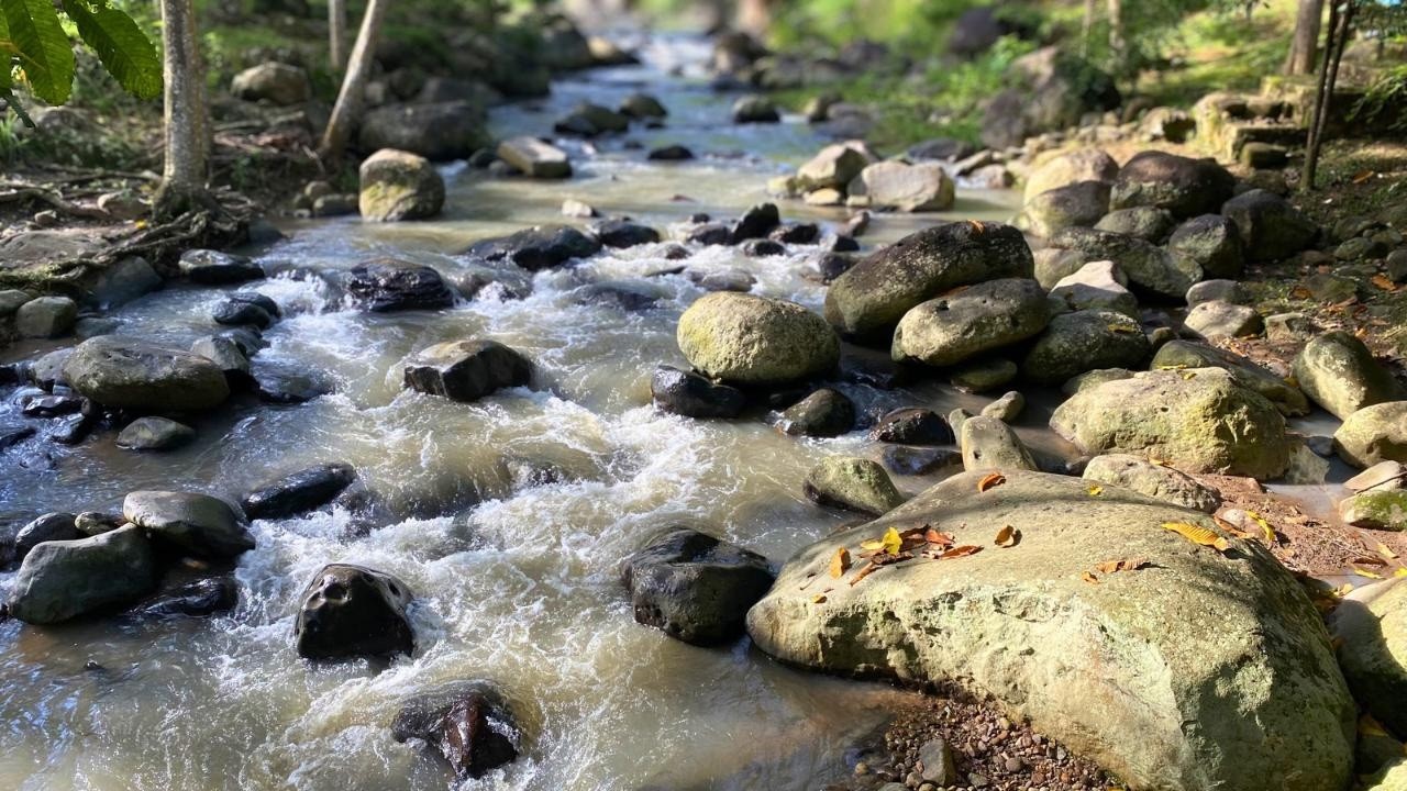 Deep Sleep River Piano | Natural White Noise & Soft Melody 10 Hours