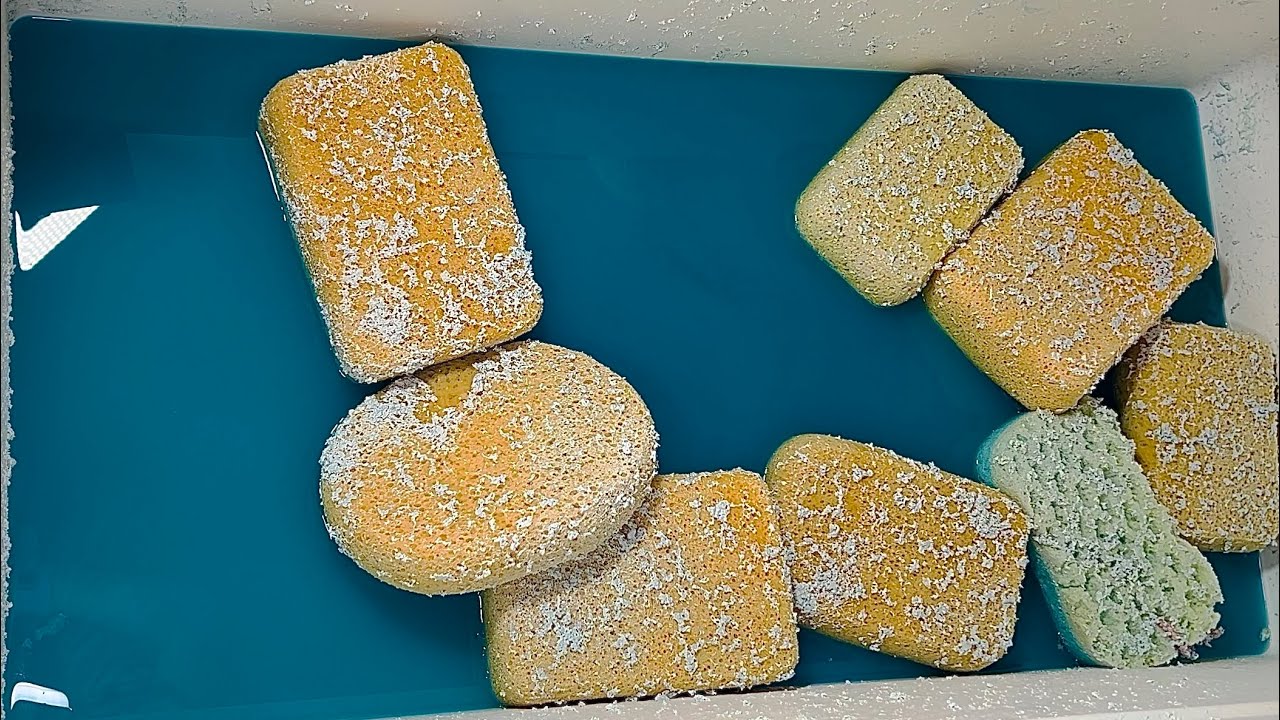 ⚜️ Ajax Settled Pasty Sponges • Final Rinse of the 🏅Best Smelling Paste🏅Sponge ASMR