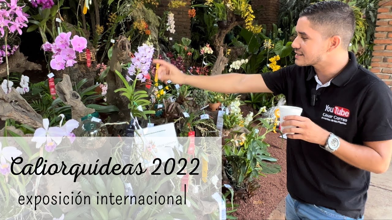 CALIORQUÍDEAS 2022 🌸|😱 INCREÍBLE EXPOSICIÓN DE PLANTAS EN COLOMBIA