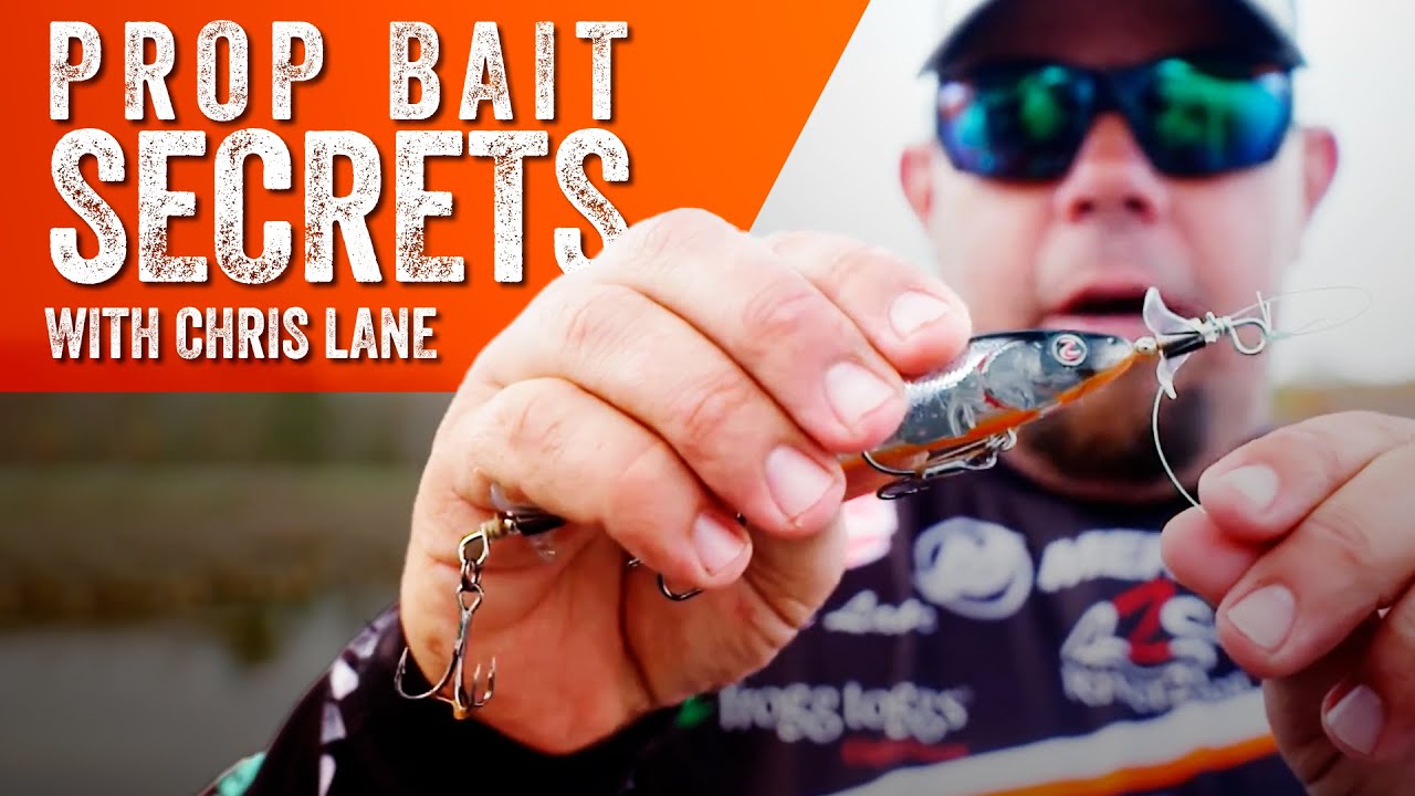 How to Fish a Topwater Prop Bait {Chris Lane}