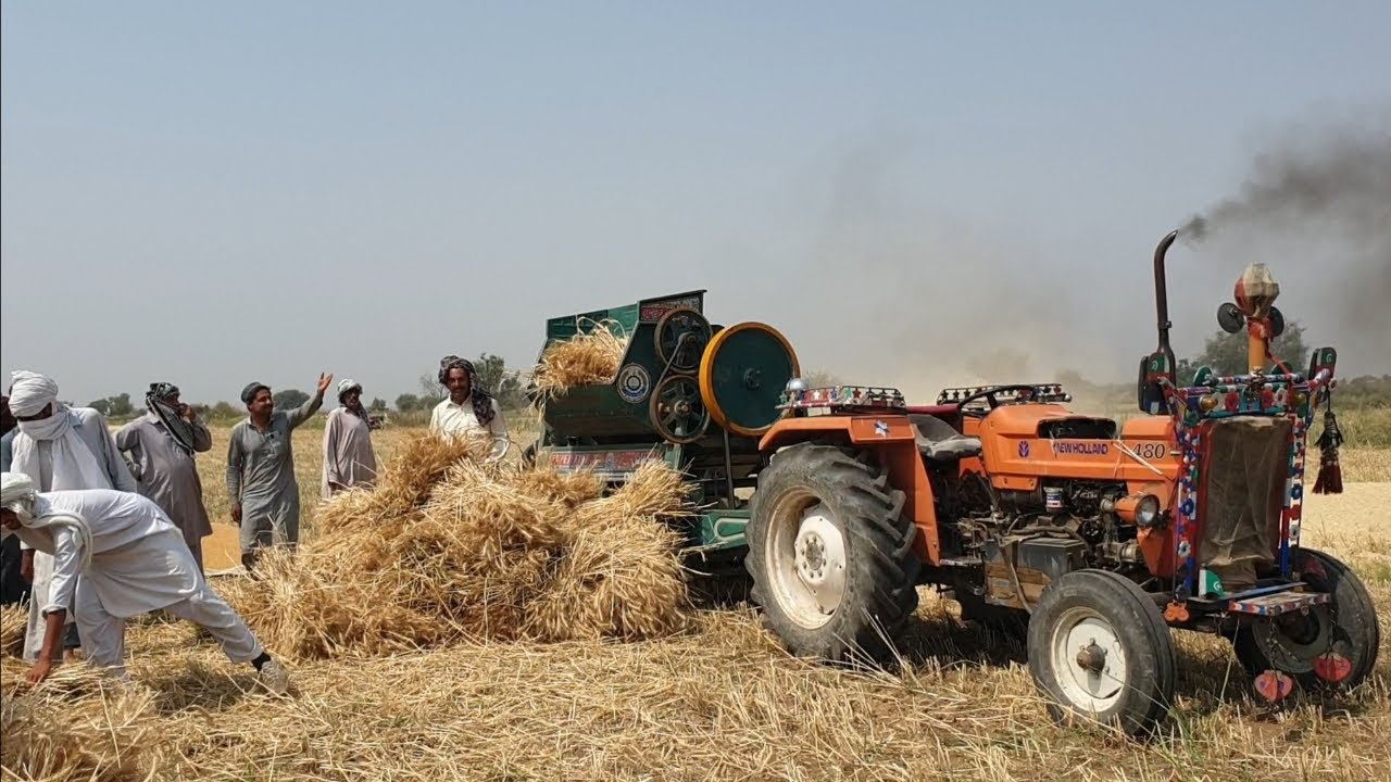 Fiat 480 Tractor On Wheat Thresher | Village Life In Pakistan