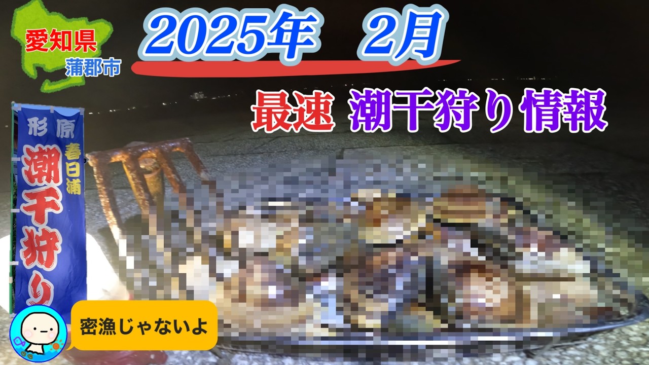 2025年最速潮干狩り情報。今年はヤバイかも⁉️