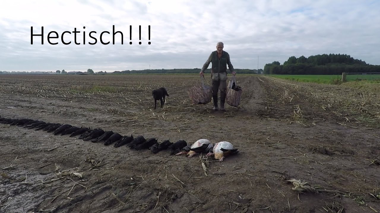 Jagen - Hectisch!!