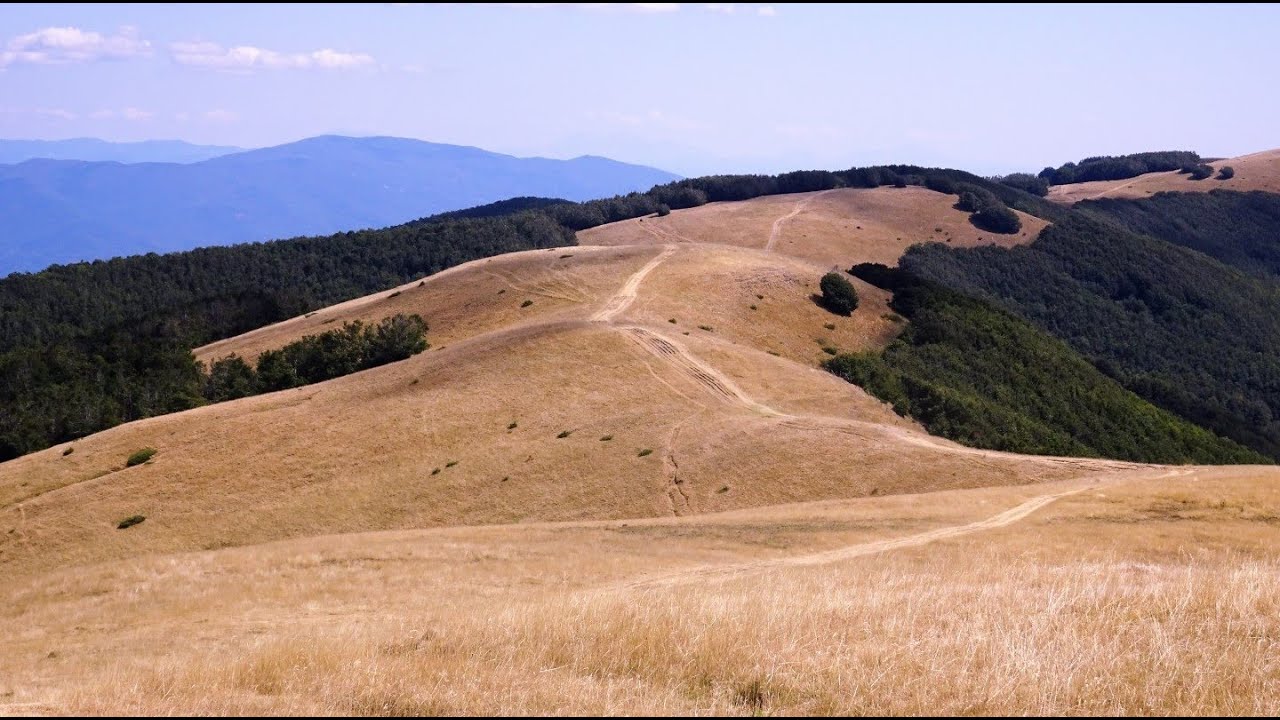 2021-09-03 Anello San Clemente - Rocca Ricciarda - Pratomagno - La Trappola