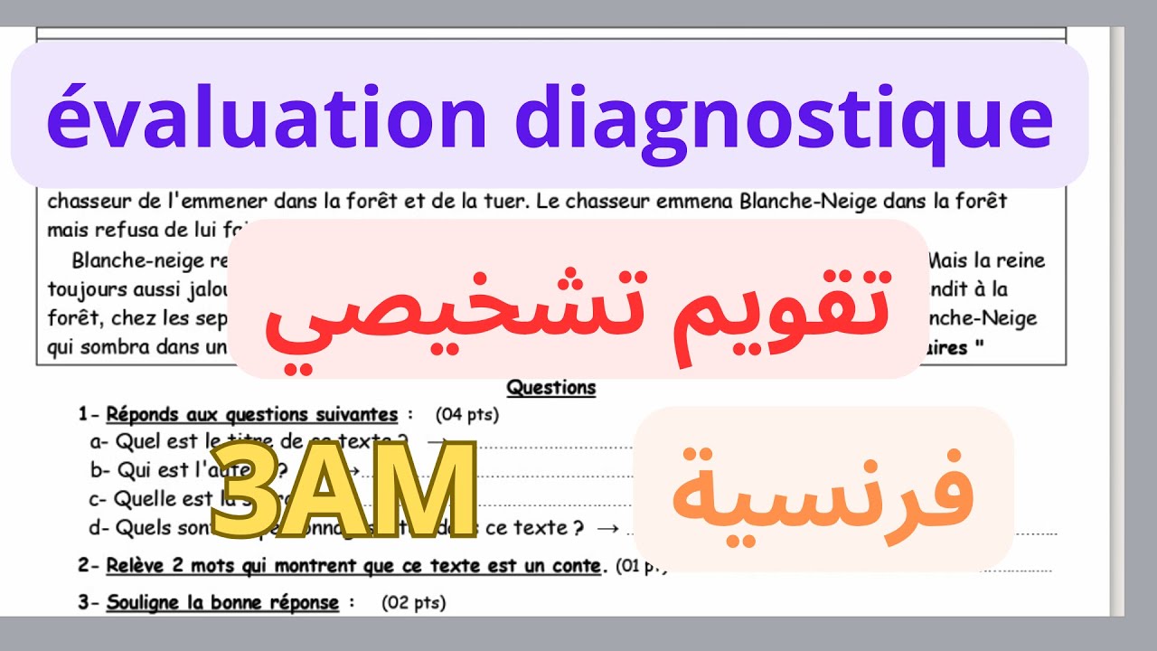 تقويم تشخيصي في اللغة الفرنسية للسنة الثالثة متوسط2023\2024