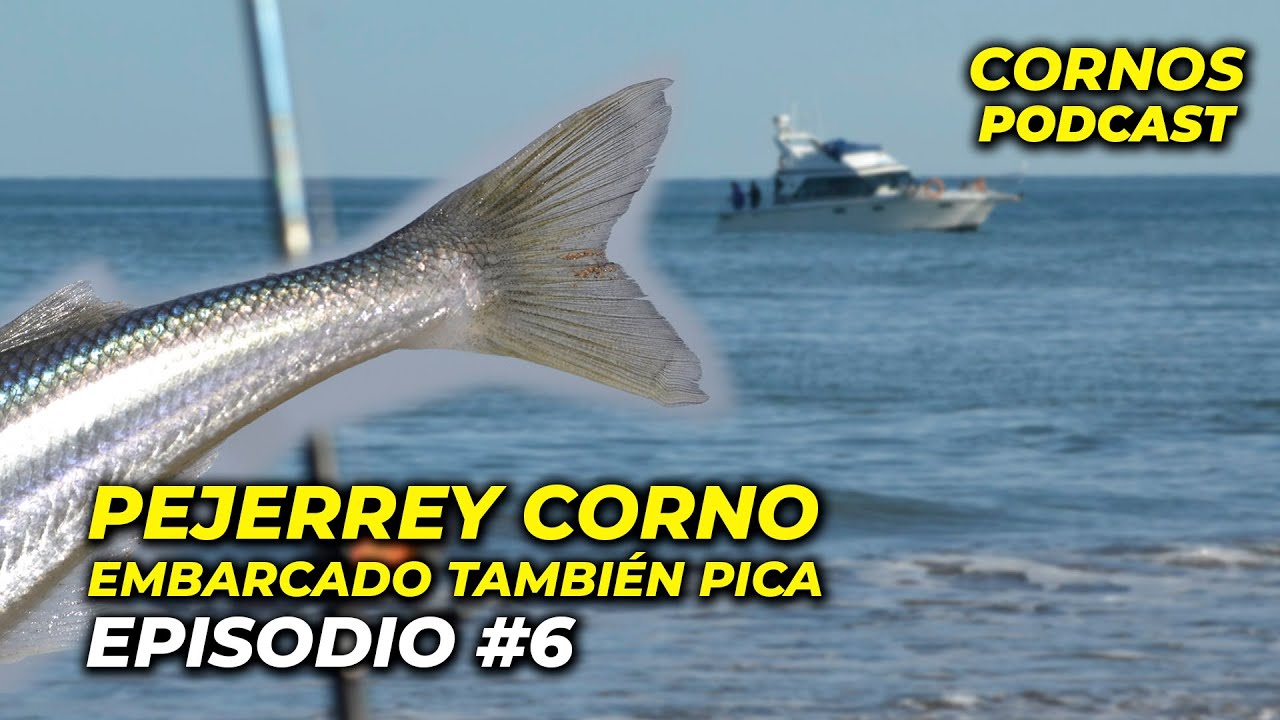 Pejerrey Corno - EMBARCADO TAMBIÉN PICA - Podcast Episodio 6