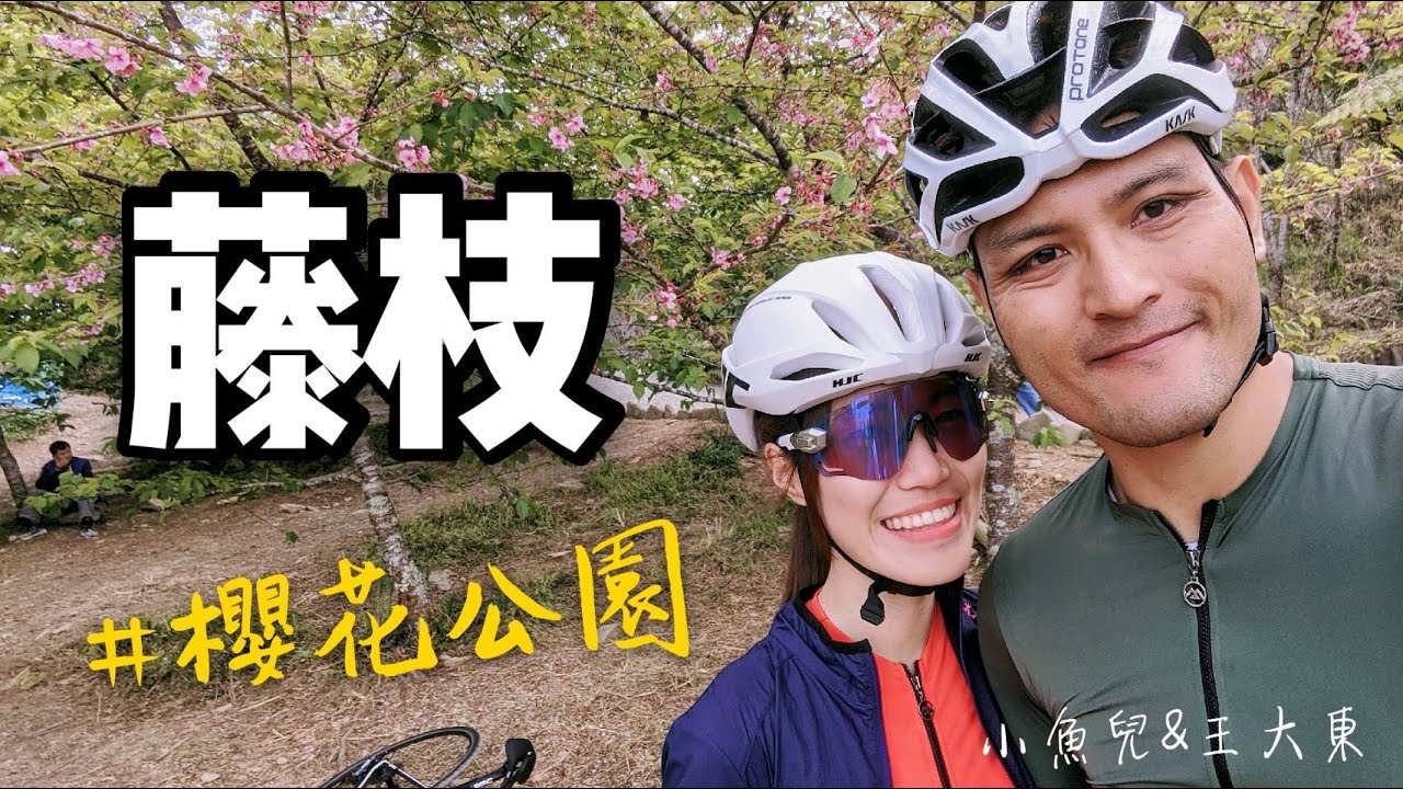 【單車】藤枝│櫻花公園│寶山部落│路線介紹│大東軍火COOL│Cycling Lady小魚兒