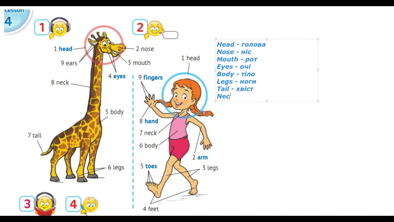 Level 2 - English with Smiling Sam - page 66