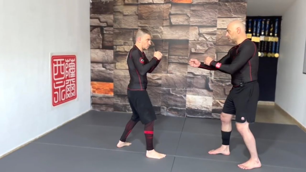 Ejercicios desplazamientos para principiantes Wing Chun TAOWS