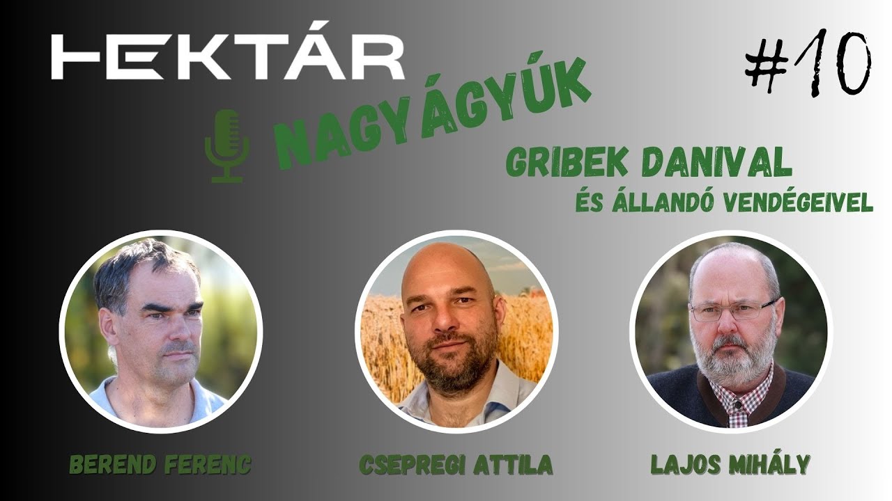 Jön a nagy borsó-bukta? Féltermés kukorica Lajoskomáromban? Minőségi búza kockázata - Nagyágyúk 10.