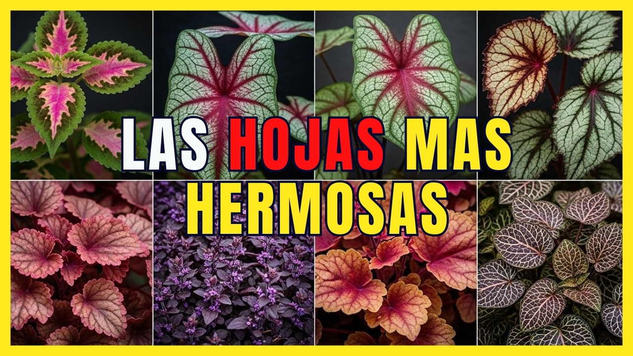 7 Plantas de Hojas de COLORES que Transformarán tu Jardín TODO EL AÑO