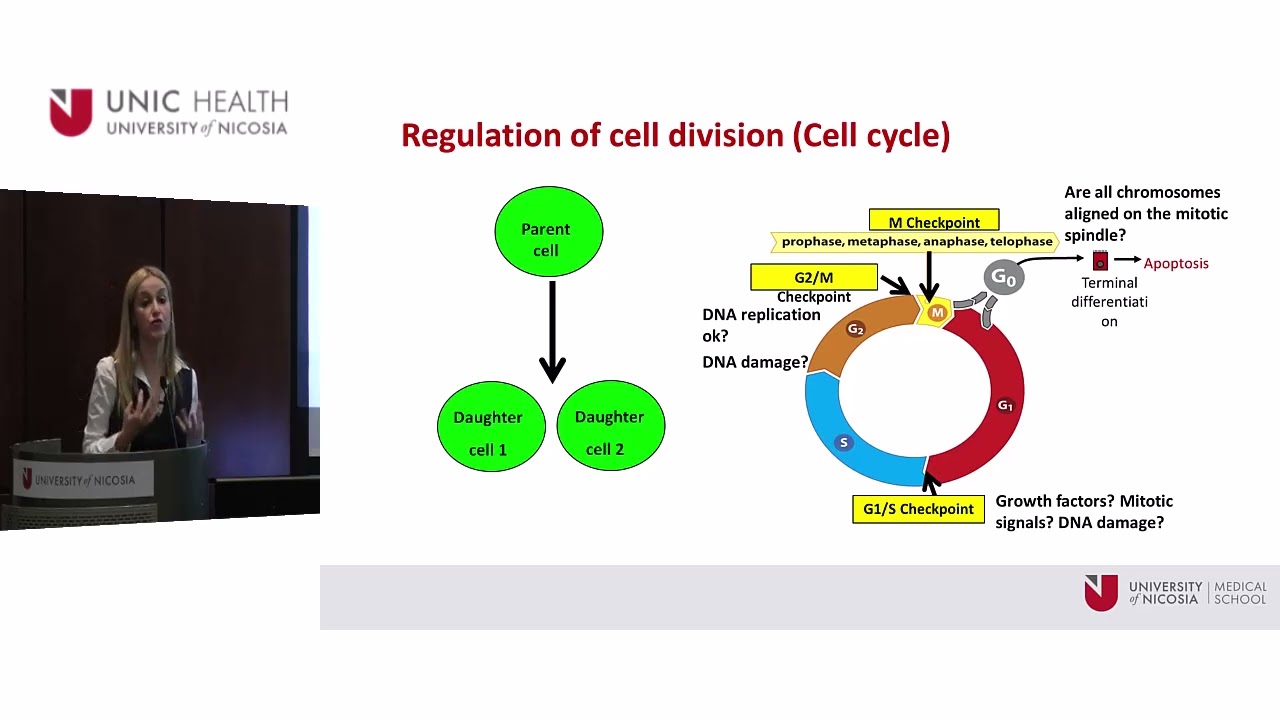 From Cells to Society:A Holistic Exploration of the association btw cancer &healthy lifestyle habits