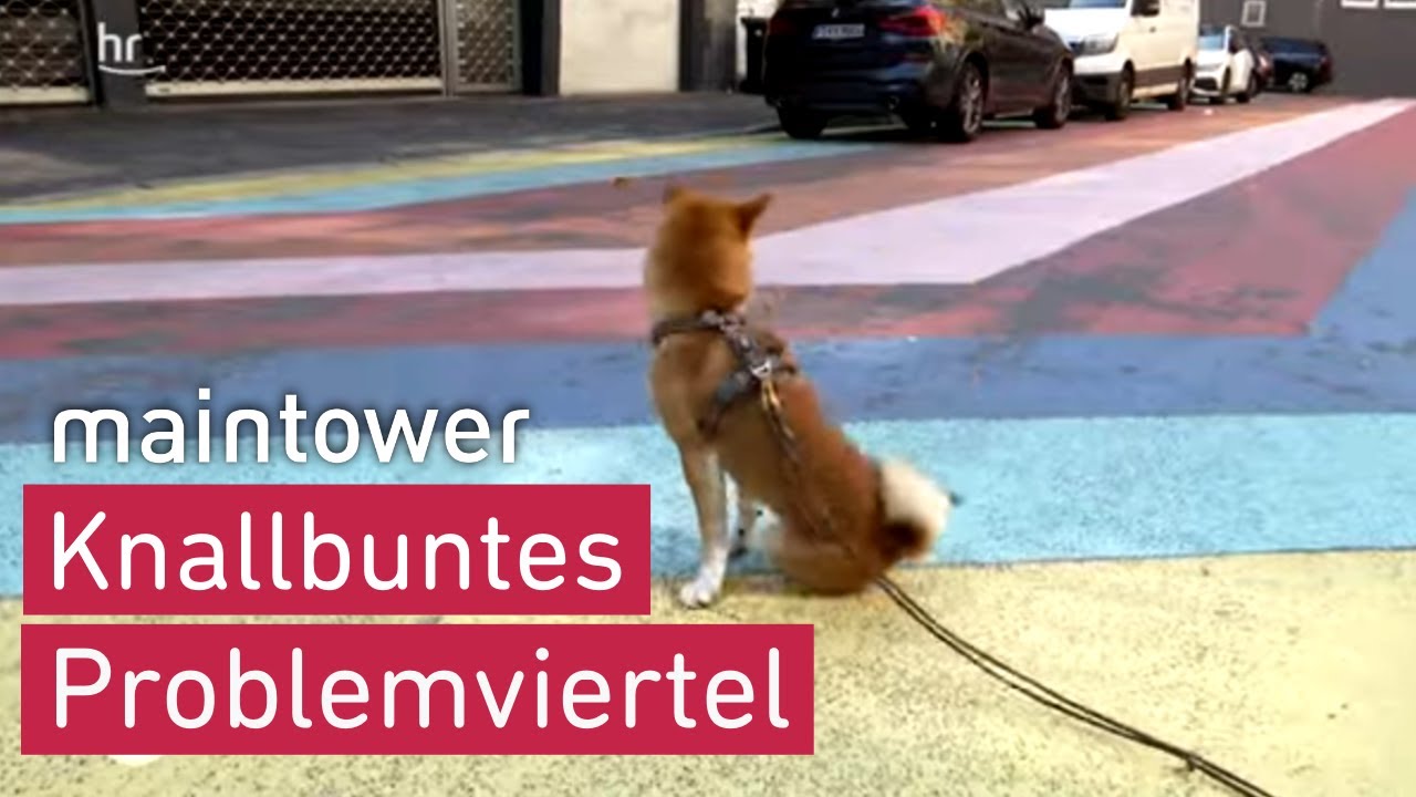 Die Frankfurter Niddastraße ist bunt | maintower