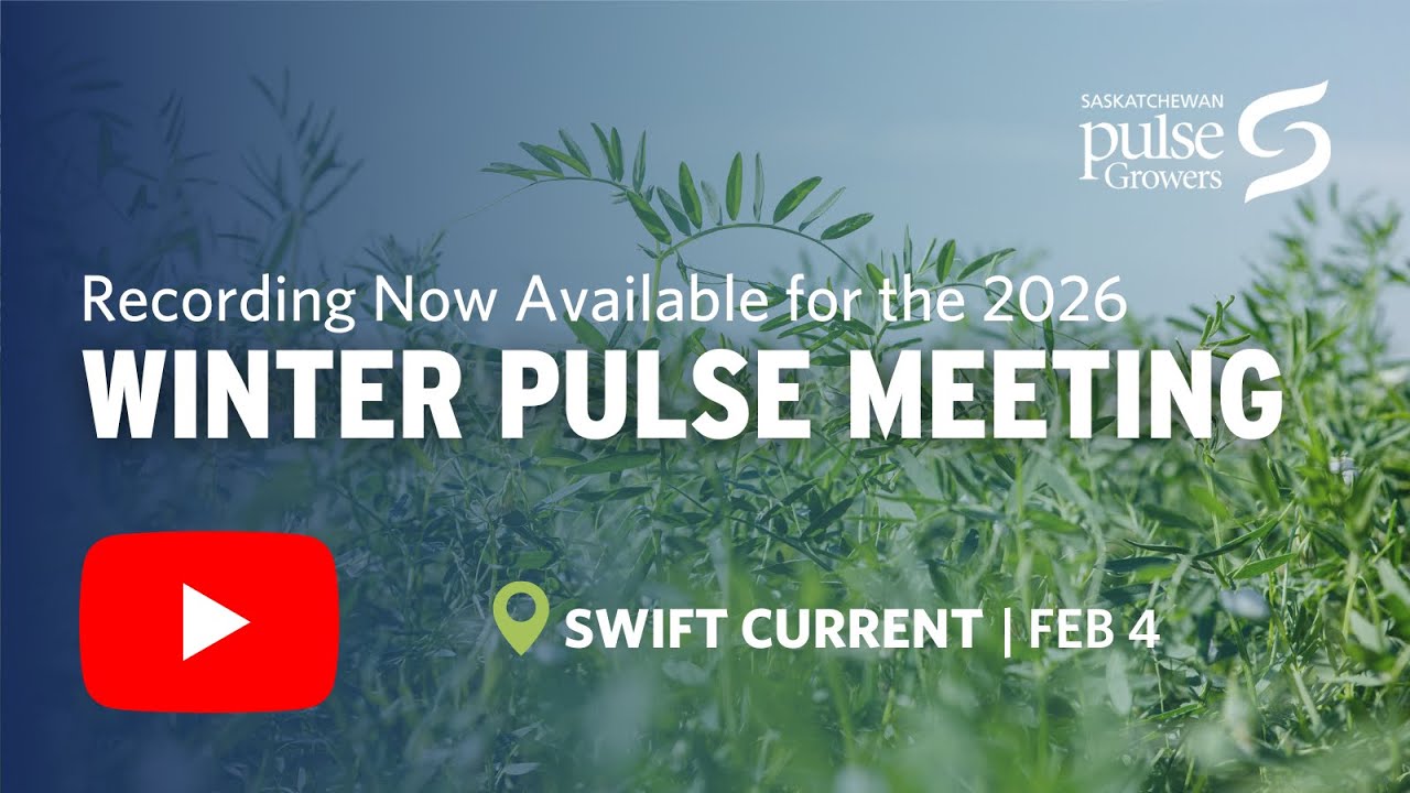 2026 Swift Current Winter Pulse Meeting