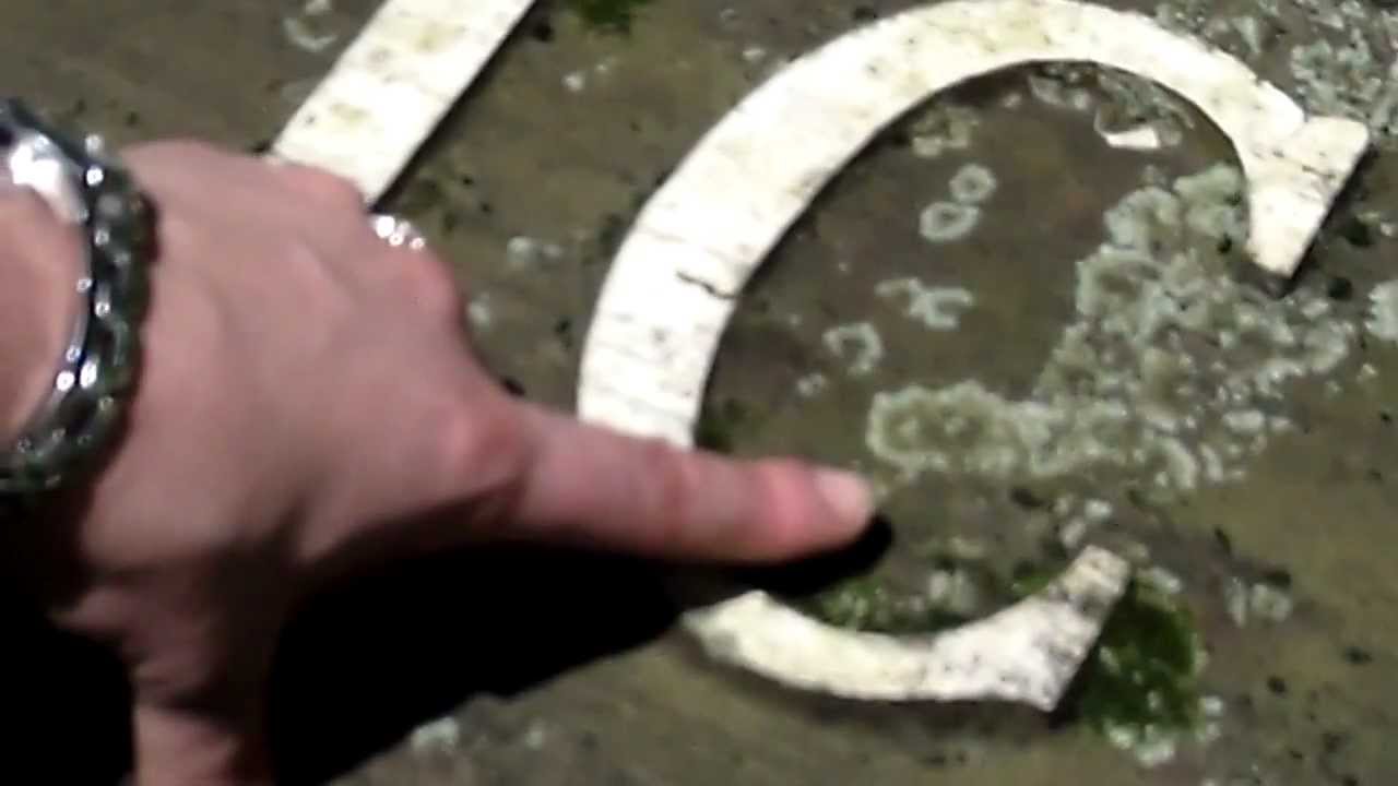 How to Apply Wet & Forget for Lichen Removal