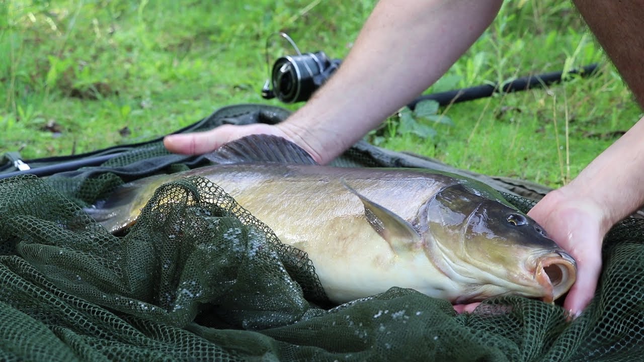 Ultra Light Dual-Reach Landing Net