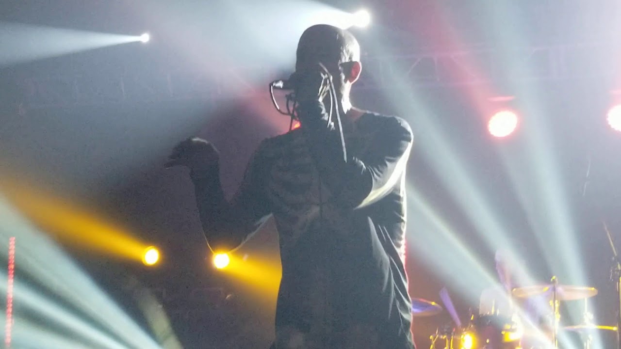 COLD - Shine Broken Human Tour 2019 Live Concert at The Rock Box San Antonio, Texas