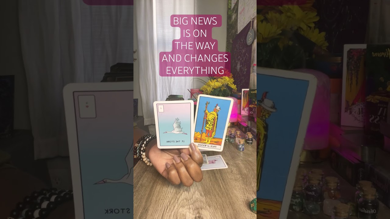 WHAT YOU NEED TO KNOW RIGHT NOW! #shorts #short #tarot #allzodiacsignstarot #love