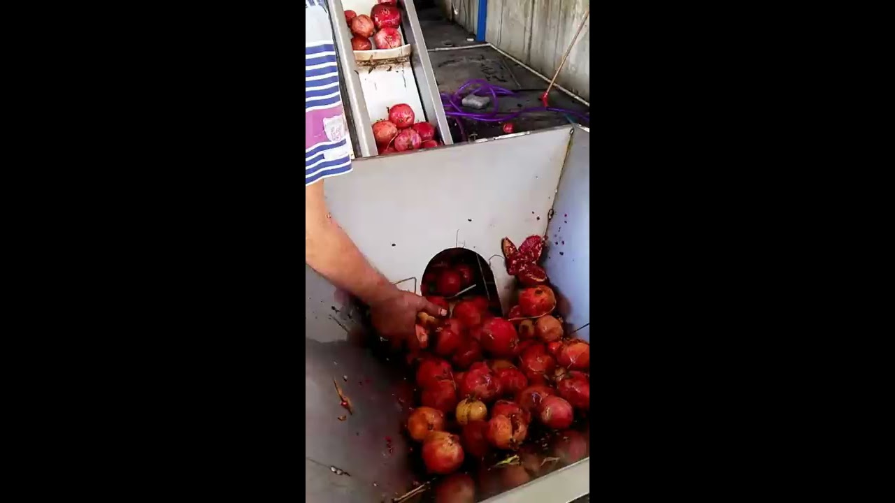 Nar işleme, ayıklama ve çekme makinası