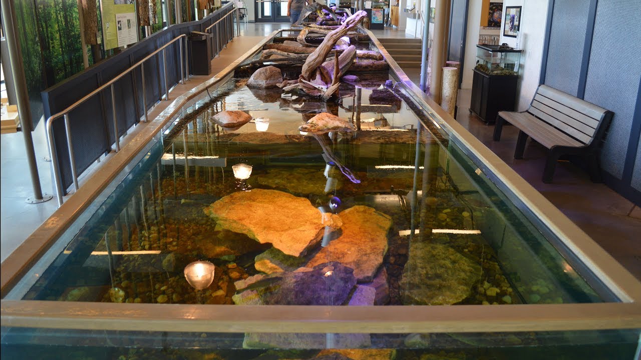 2000 Gallon Living Stream Aquarium