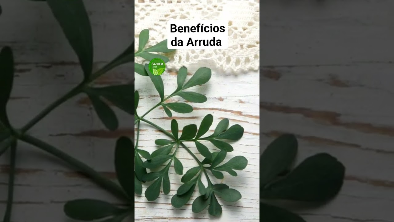 Benef&iacute;cios da Arruda.