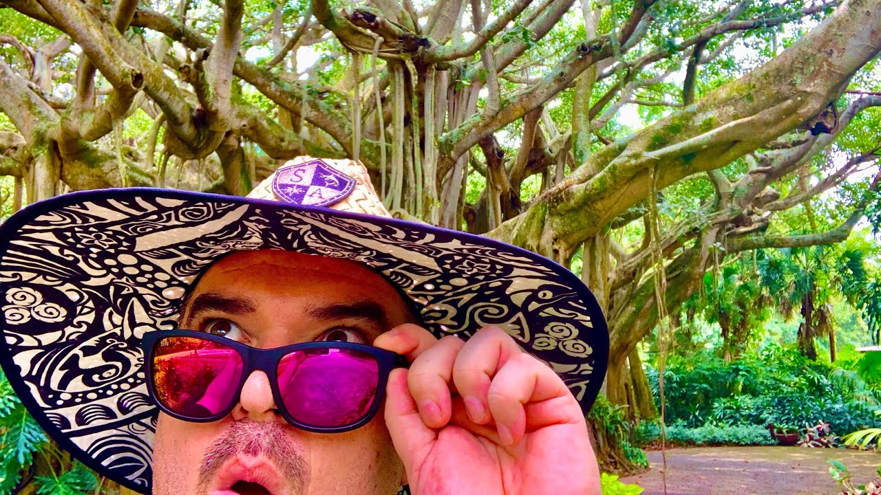 I Found the Largest Tree in Florida | Cypress Gardens Banyan Tree