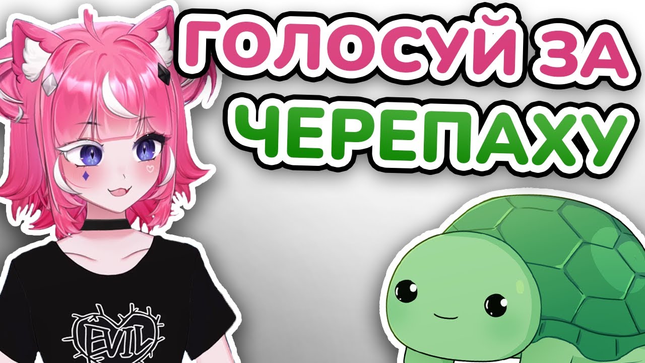 Камила призывает голосовать за Ведала