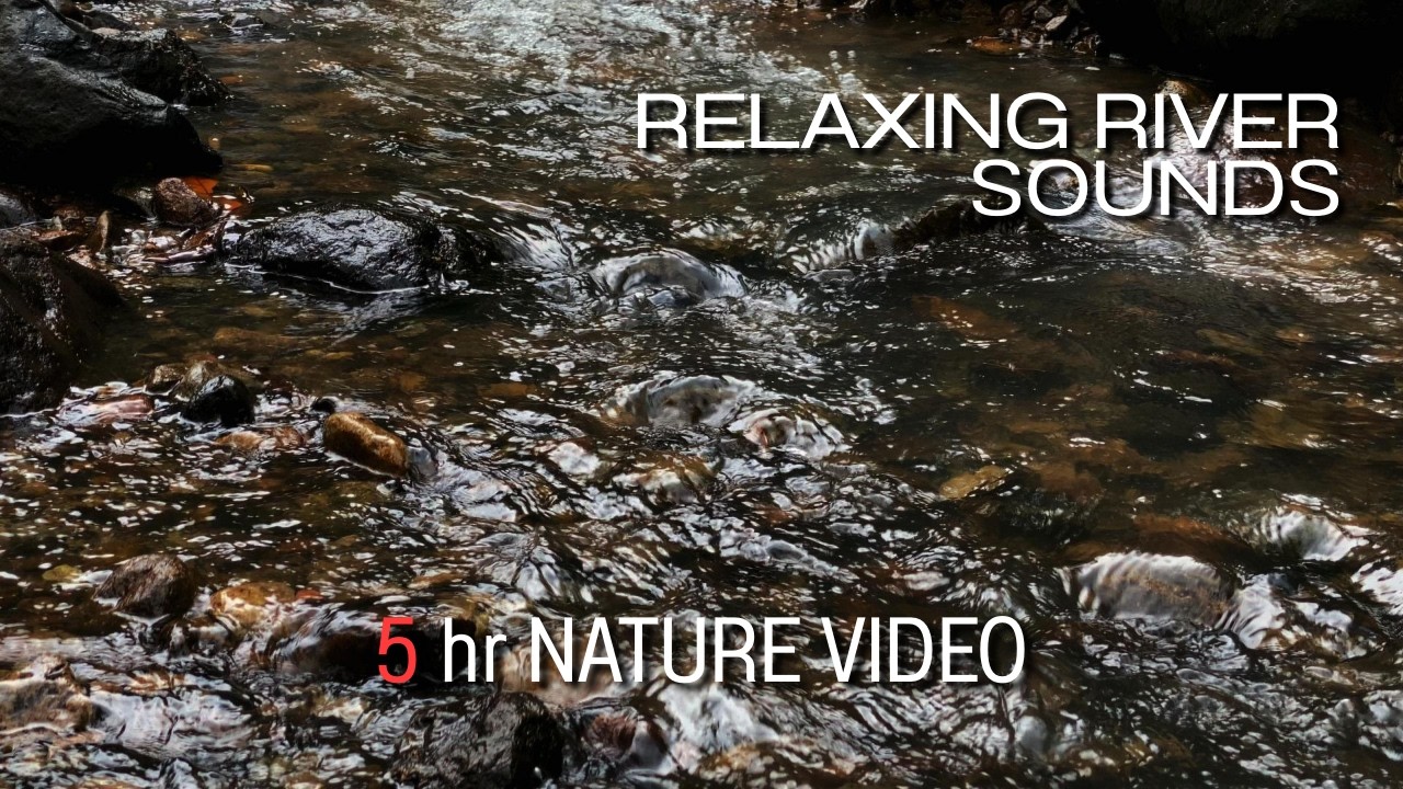 Relaxing River Sounds - Peaceful Forest River - 5 Hours Long - HD 1080p - Nature Video