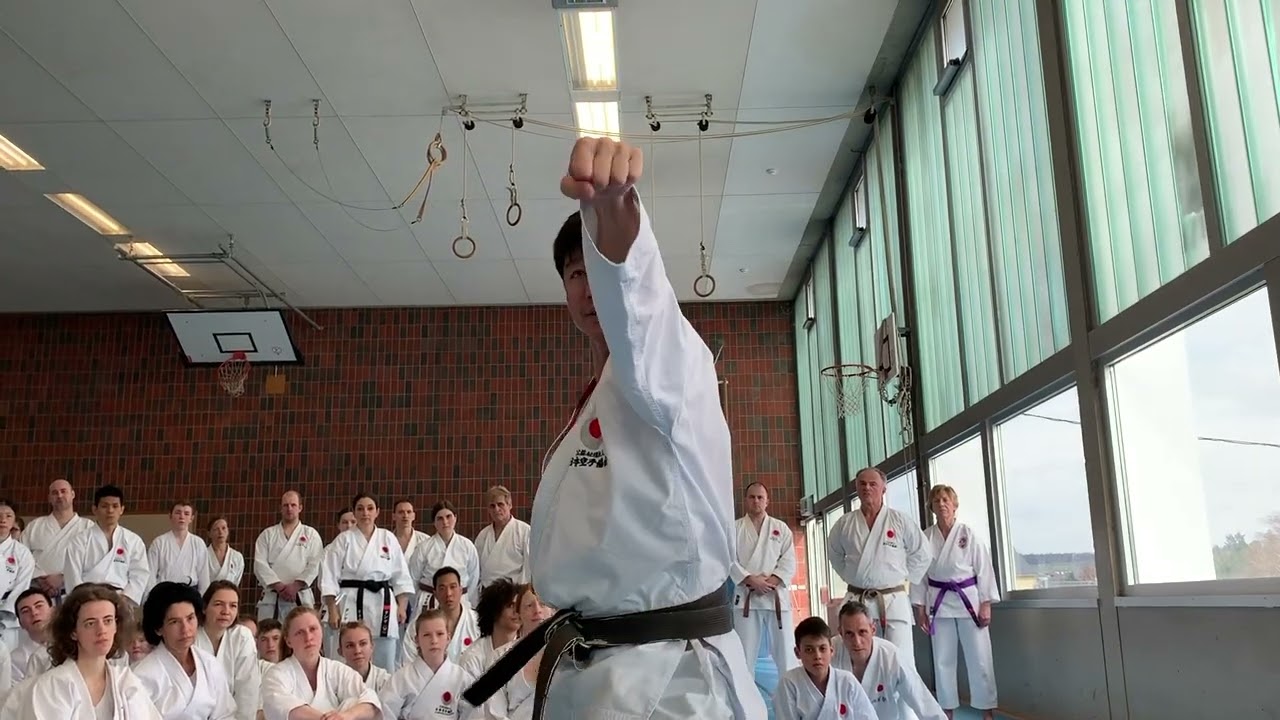 Tatsuya Naka Seminar in Germany 2020