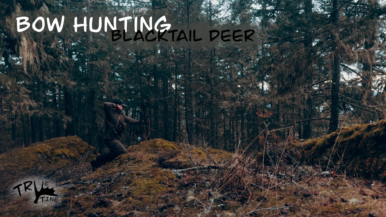 Late Season Blacktail Deer Bow Hunt 2024
