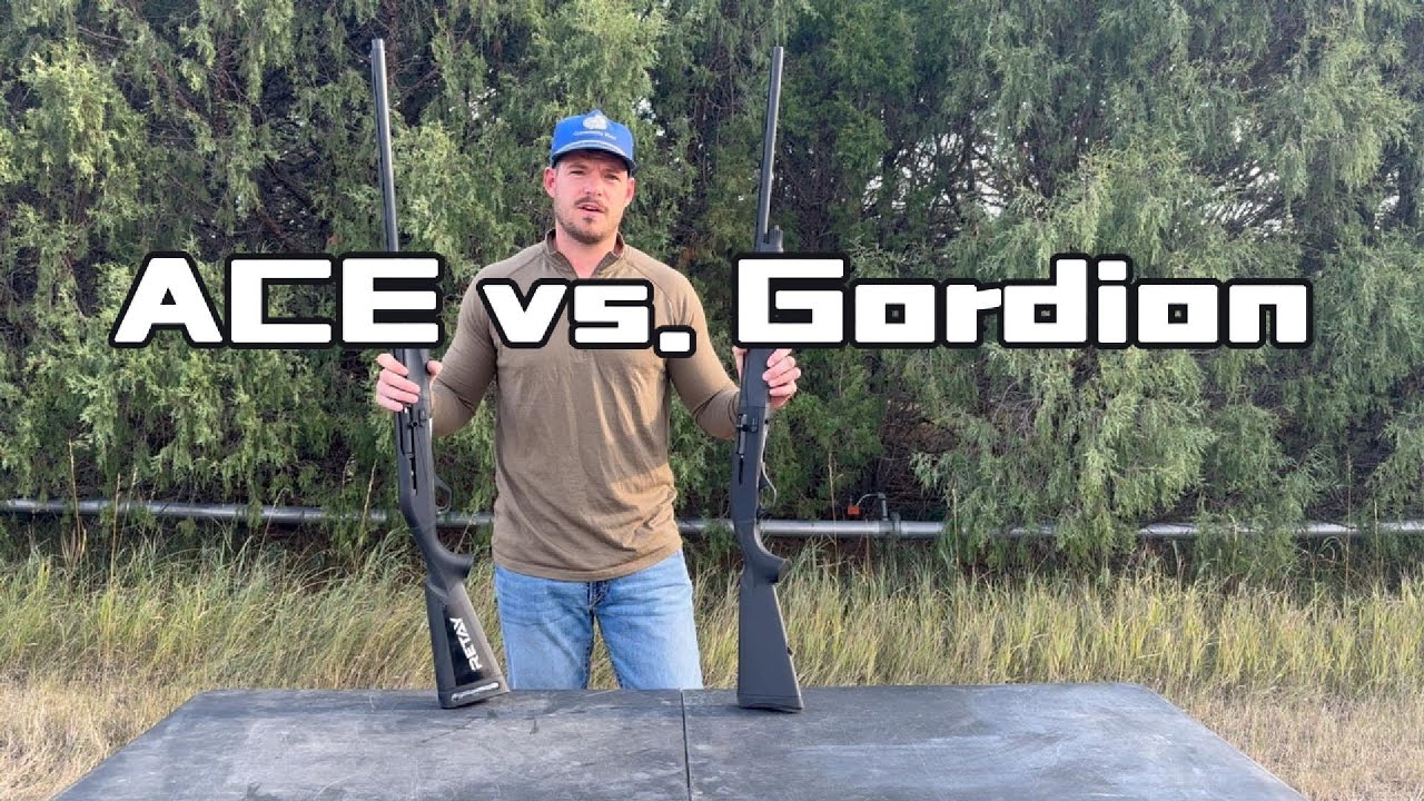 Retay ACE vs. Gordion