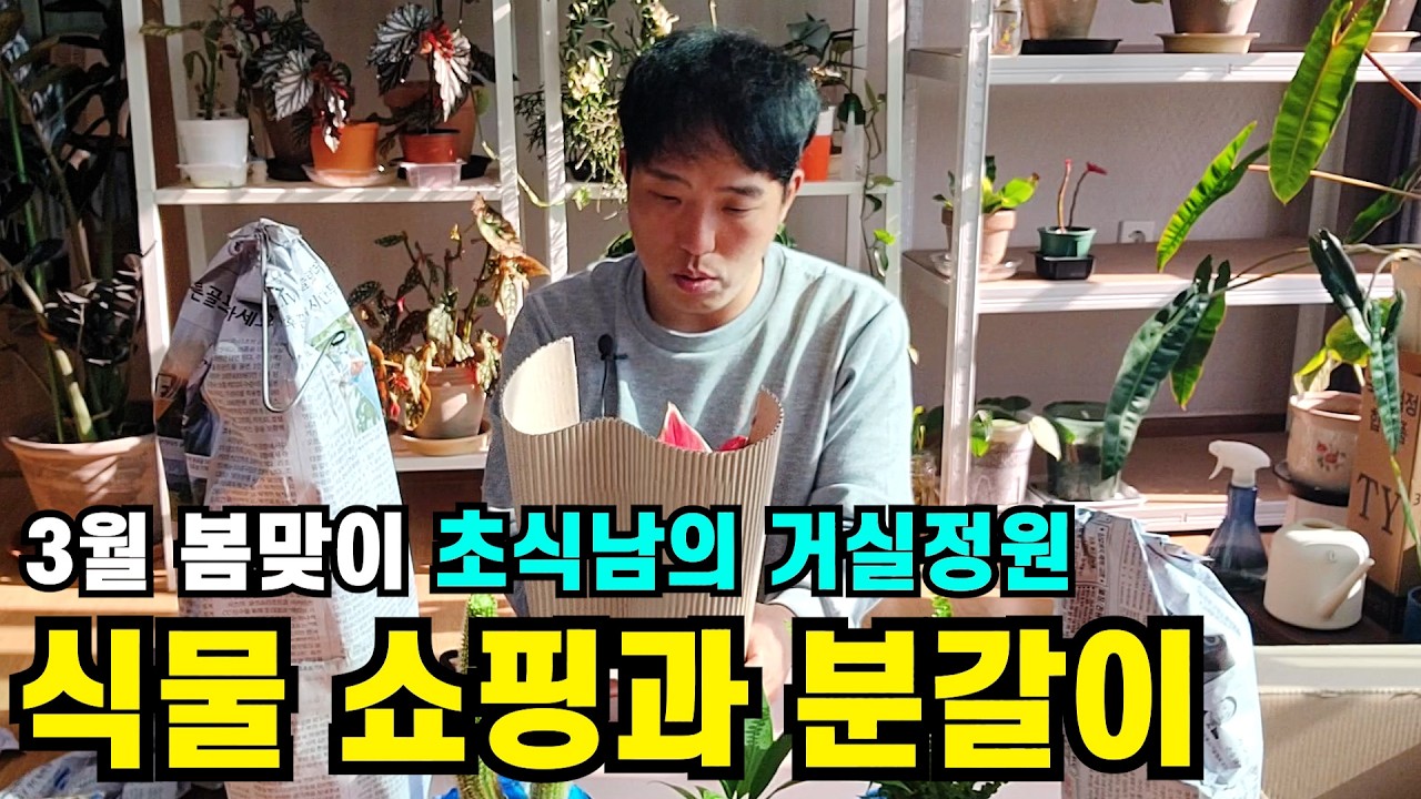 [3월 봄맞이 초식남의 거실정원] 식물 쇼핑부터 폭풍 분갈이까지 🌿 화분 분갈이 방법과 비료·님오일 케어 총정리