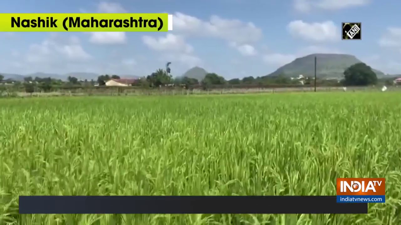 Nashik farmers welcome new agriculture laws
